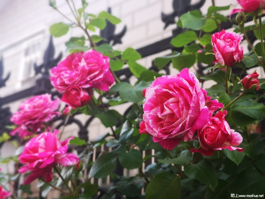 ΢��ͼƬ_20210507101639.jpg