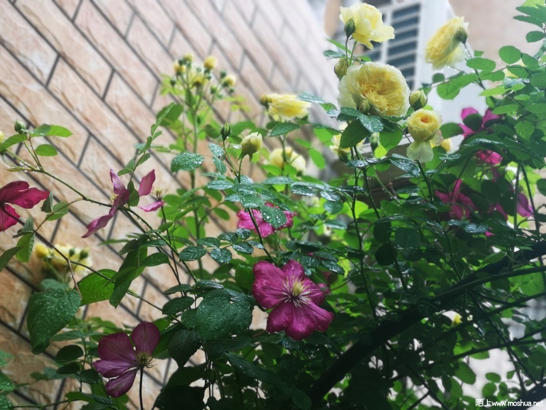 ΢��ͼƬ_20210507101722.jpg