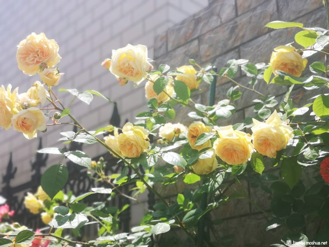 ΢��ͼƬ_20210507101819.jpg