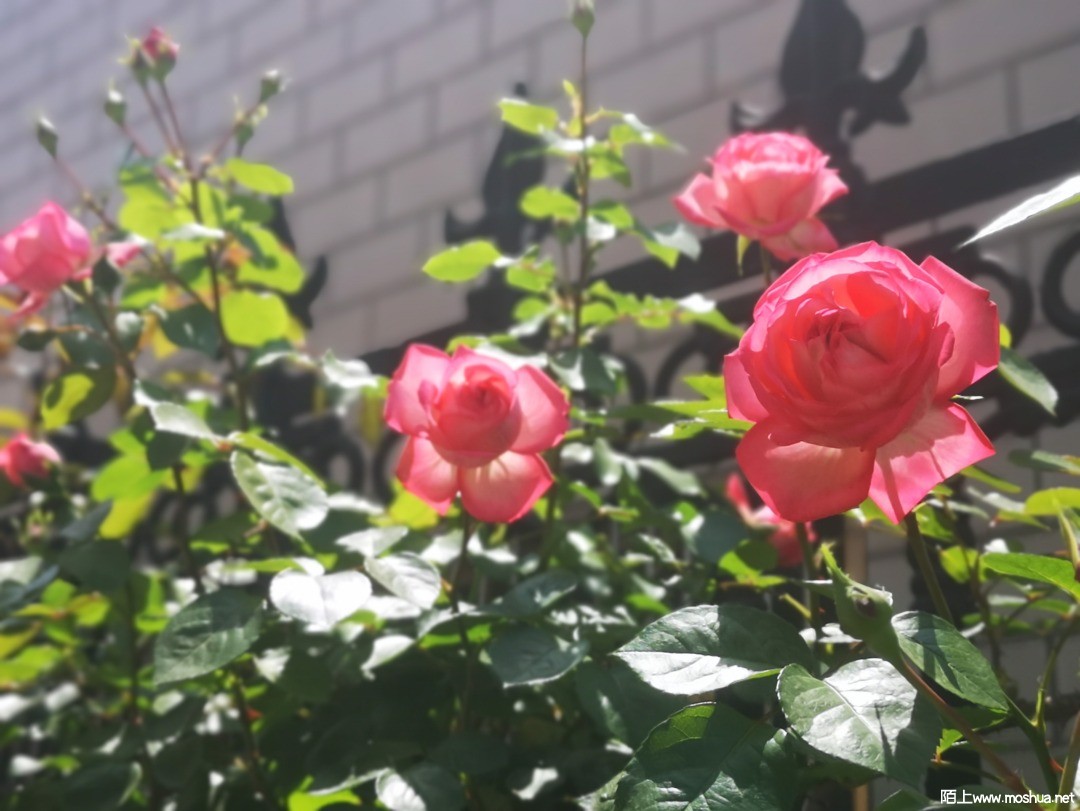 ΢��ͼƬ_20210507101952.jpg