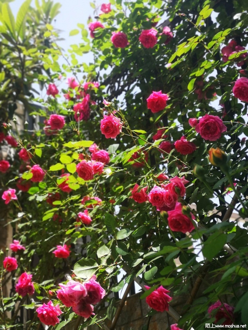 ΢��ͼƬ_20210507102127.jpg