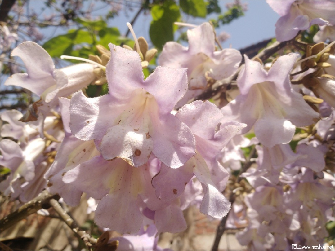 IMG_20210505_103445.jpg