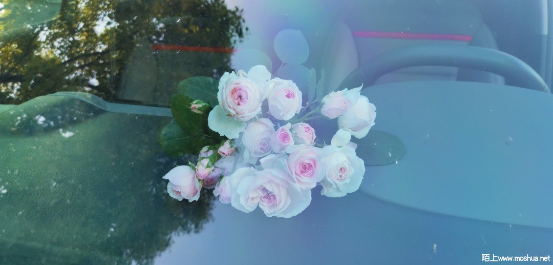 IMG_20210509_181156.jpg