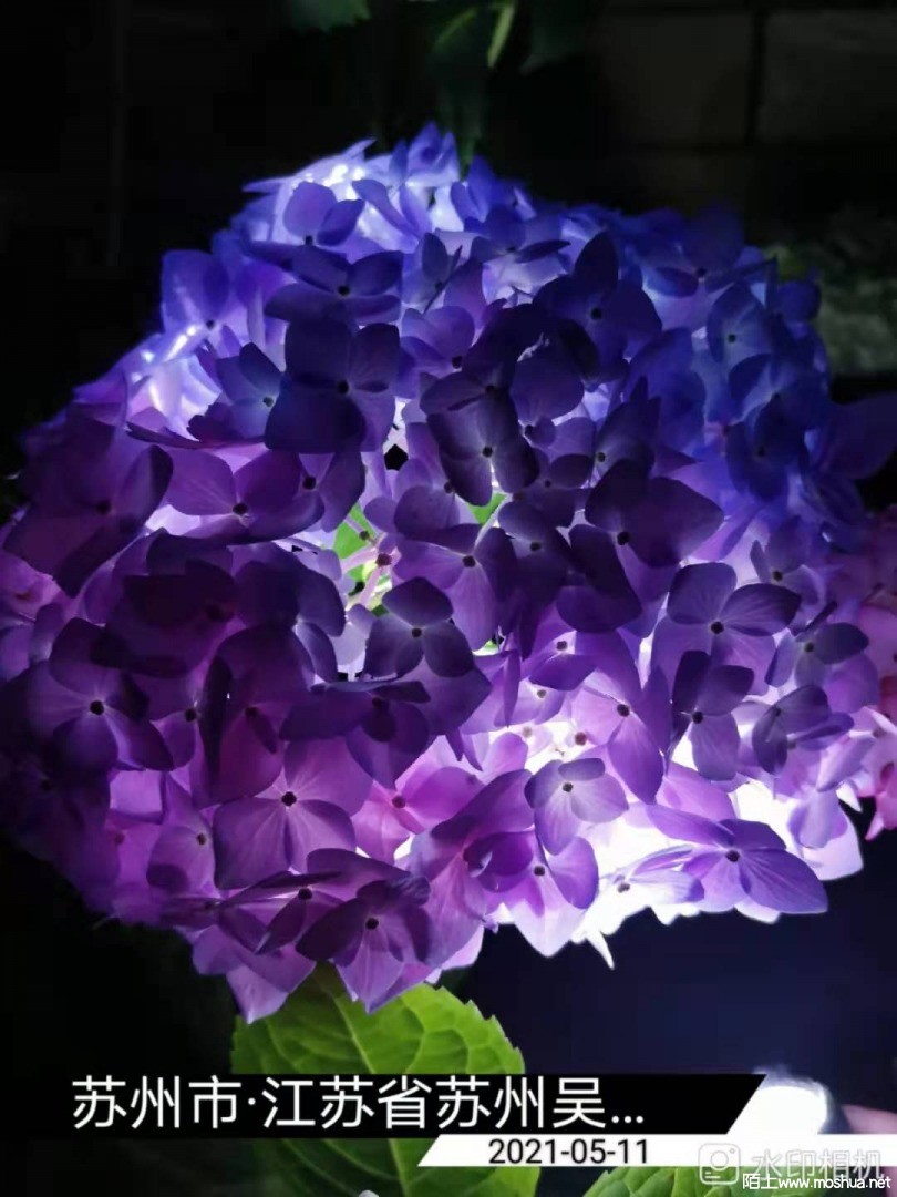 ΢��ͼƬ_20210512152934.jpg