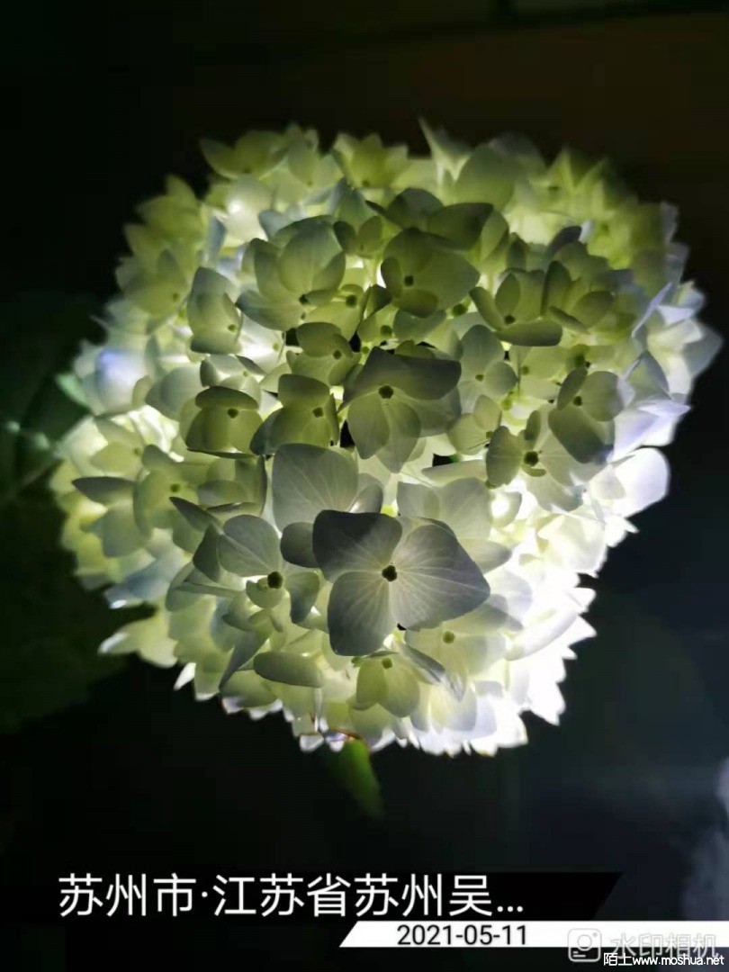 ΢��ͼƬ_20210512152945.jpg