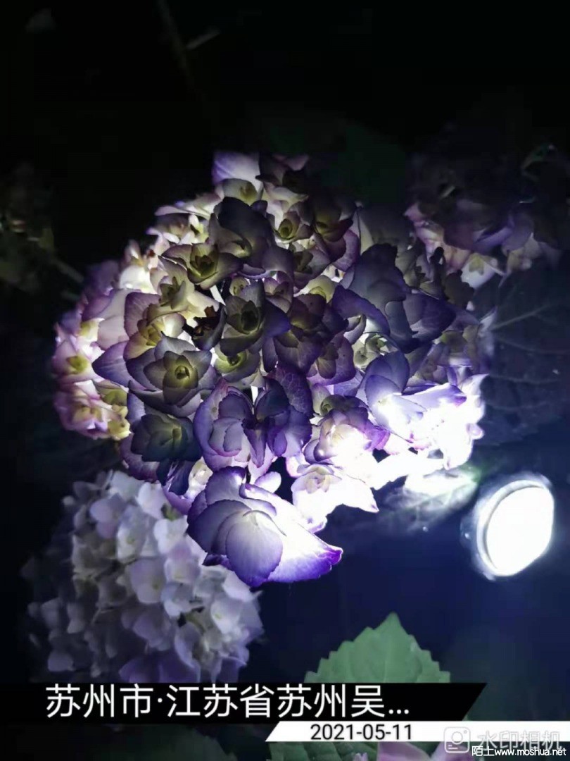 ΢��ͼƬ_20210512153006.jpg
