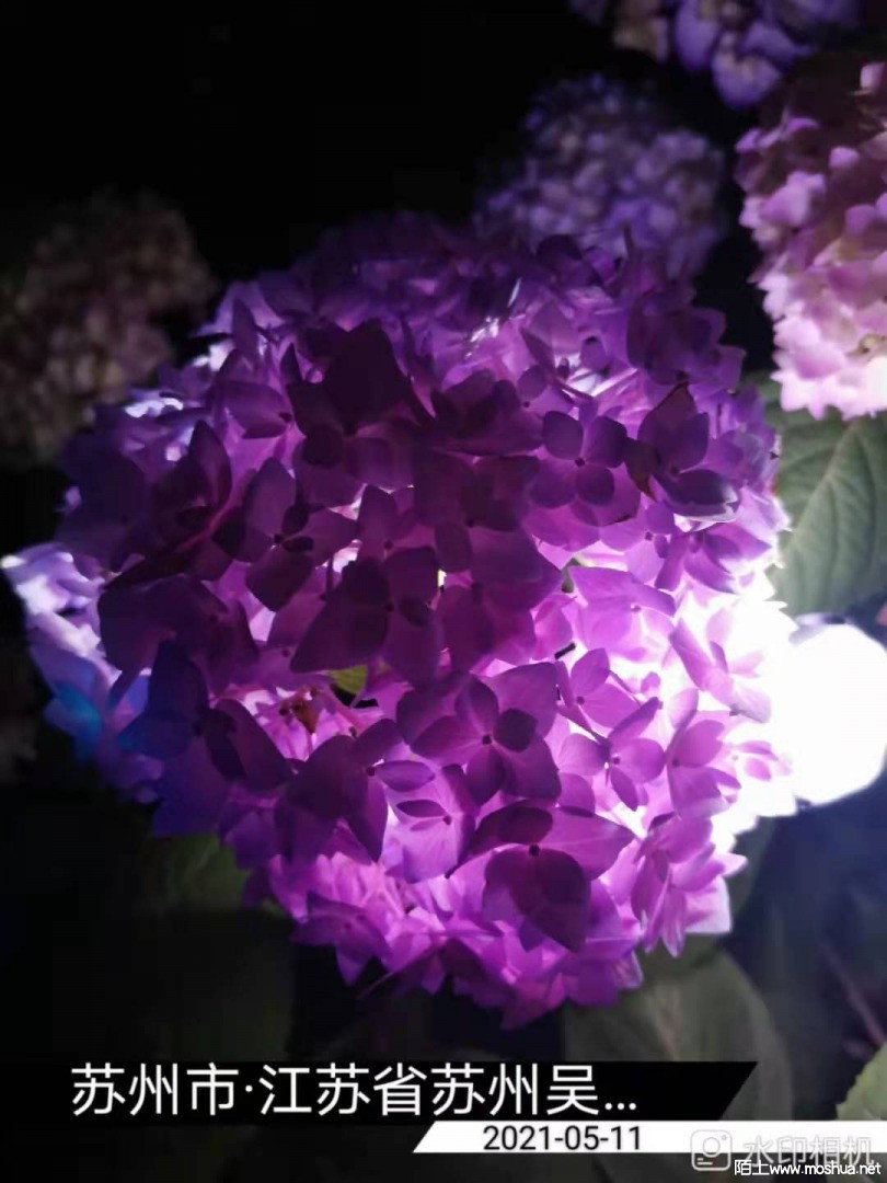 ΢��ͼƬ_20210512153009.jpg