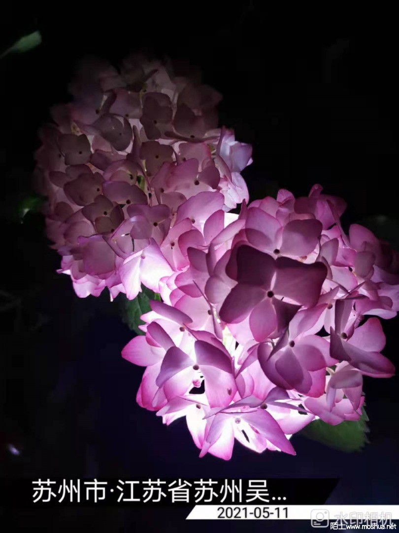 ΢��ͼƬ_20210512153003.jpg