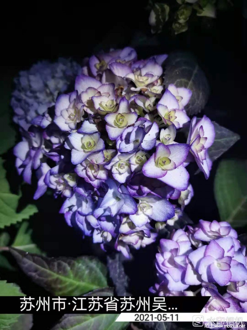 ΢��ͼƬ_20210512153012.jpg