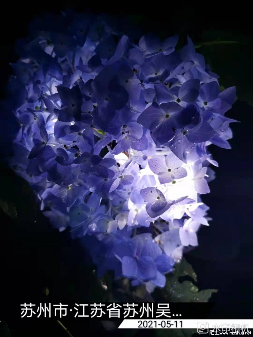 ΢��ͼƬ_20210512153018.jpg