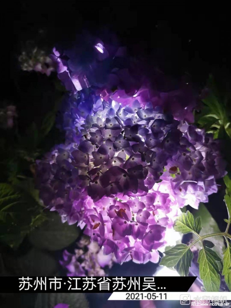 ΢��ͼƬ_20210512153021.jpg