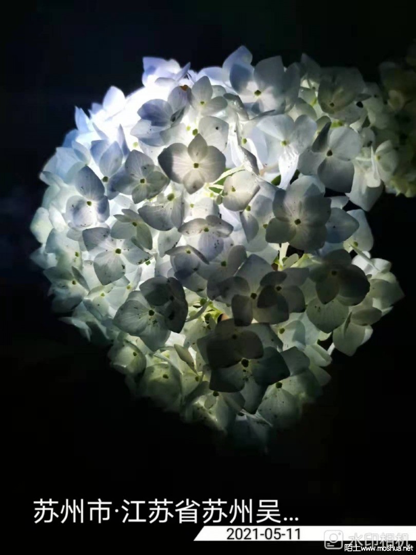 ΢��ͼƬ_20210512153031.jpg
