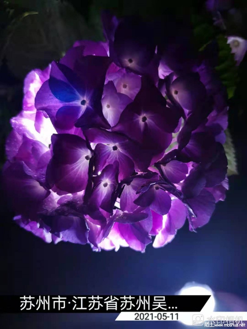 ΢��ͼƬ_20210512153024.jpg