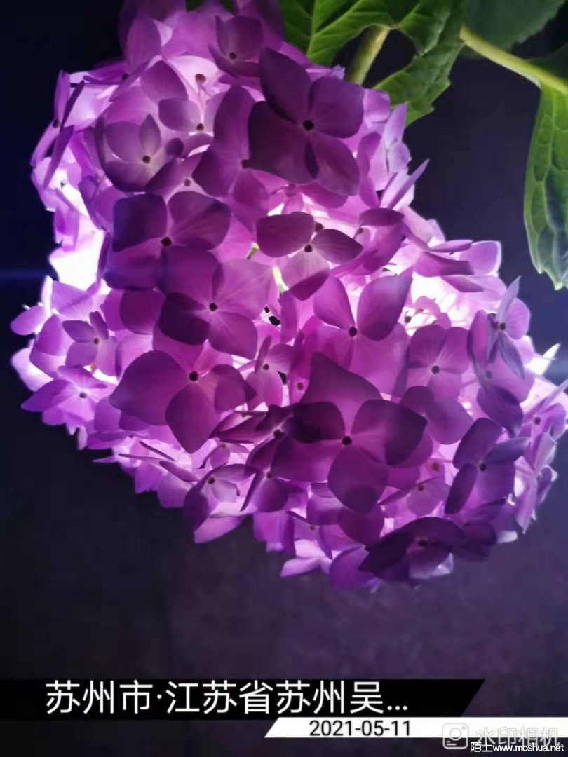 ΢��ͼƬ_20210512153040.jpg