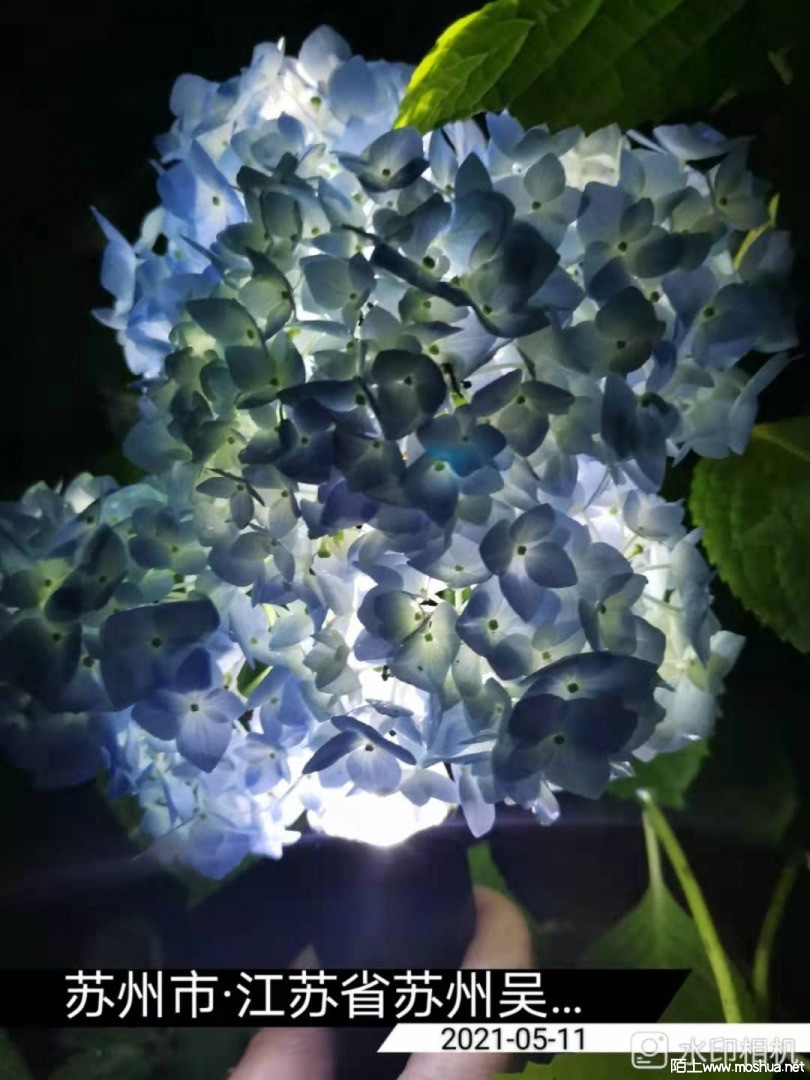 ΢��ͼƬ_20210512153034.jpg