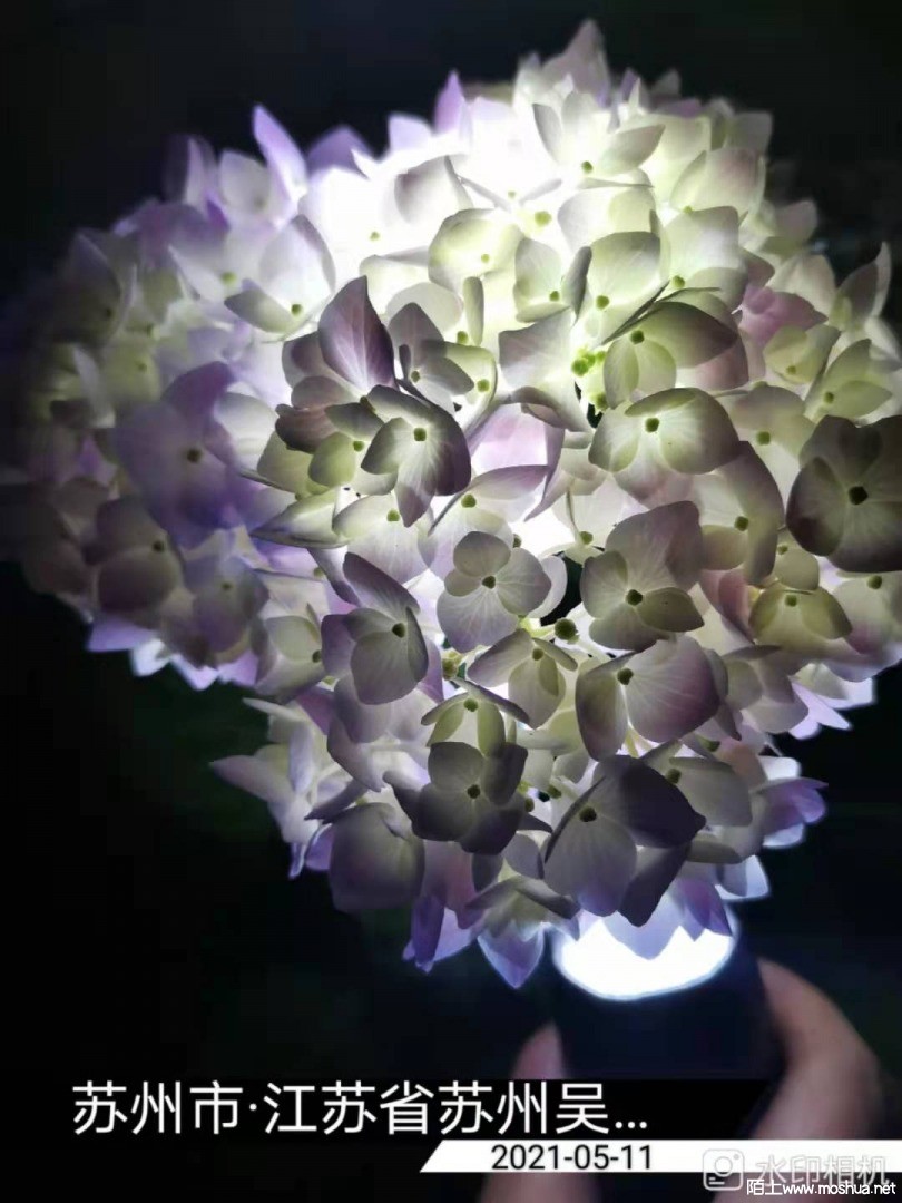 ΢��ͼƬ_20210512153043.jpg
