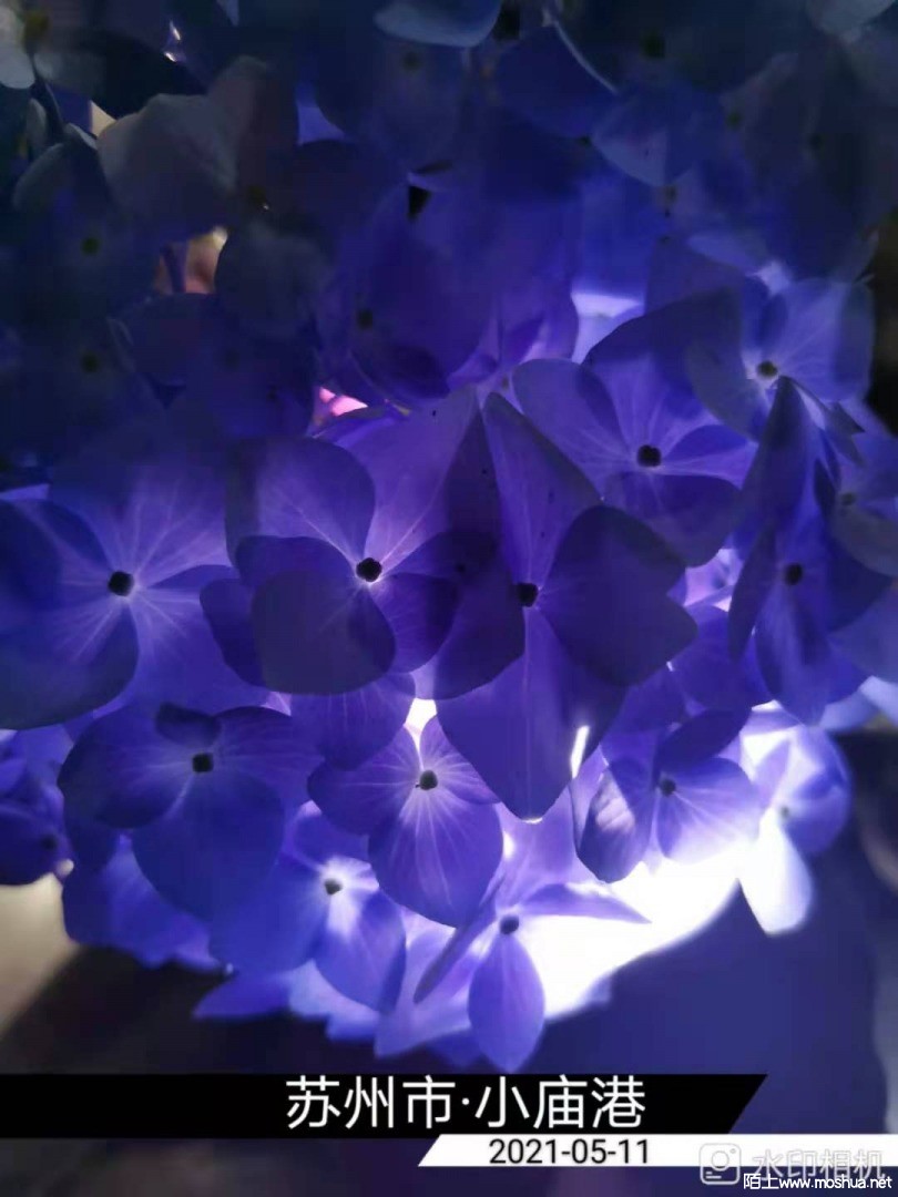 ΢��ͼƬ_20210512153046.jpg