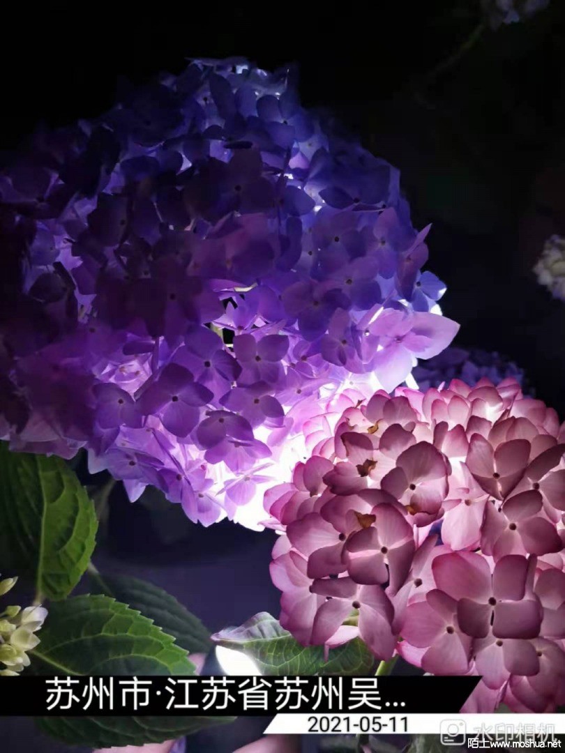 ΢��ͼƬ_20210512153055.jpg