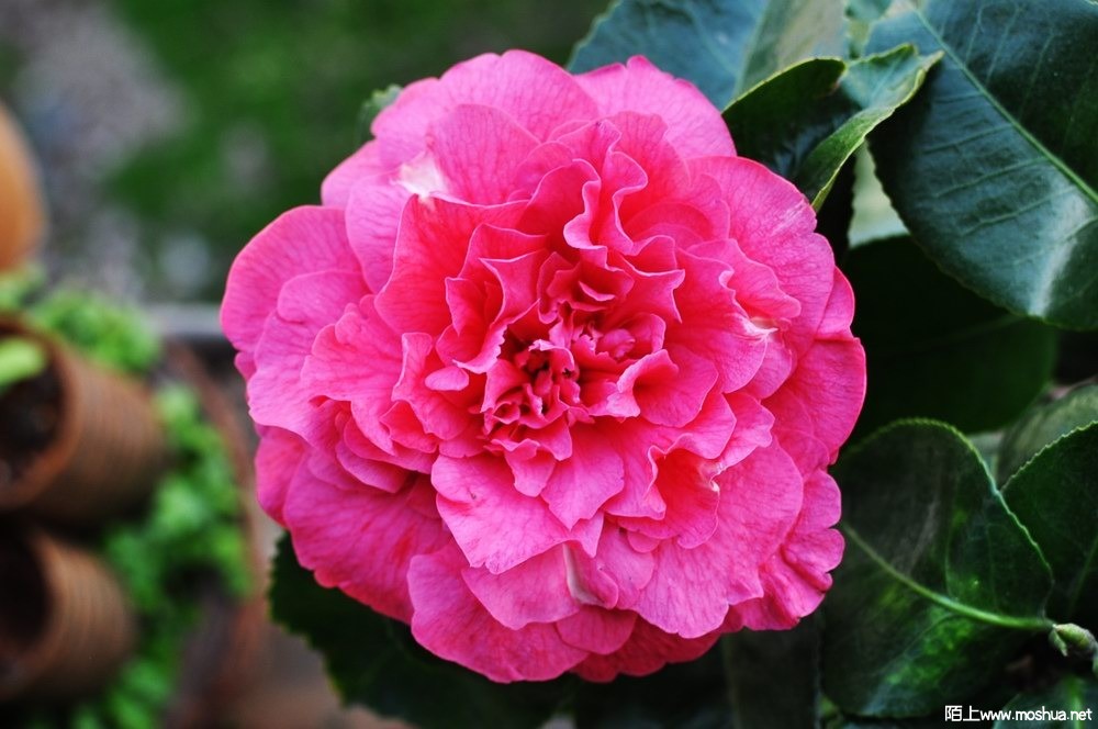 ���֮�� (11).JPG