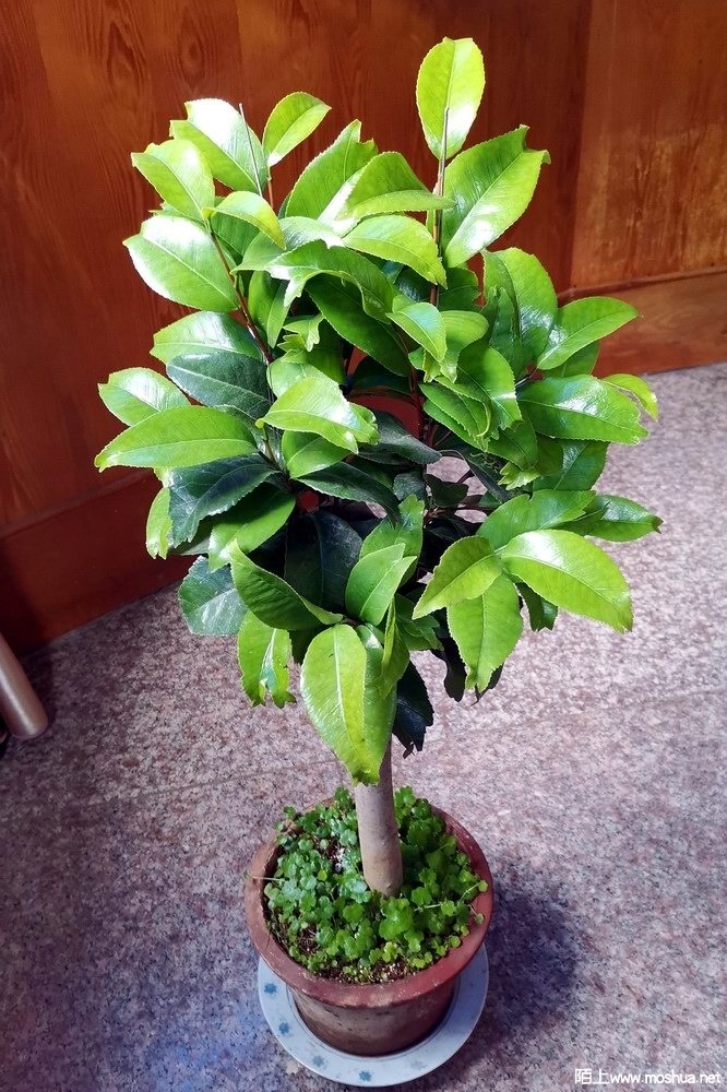 ���֮�� (17).jpg