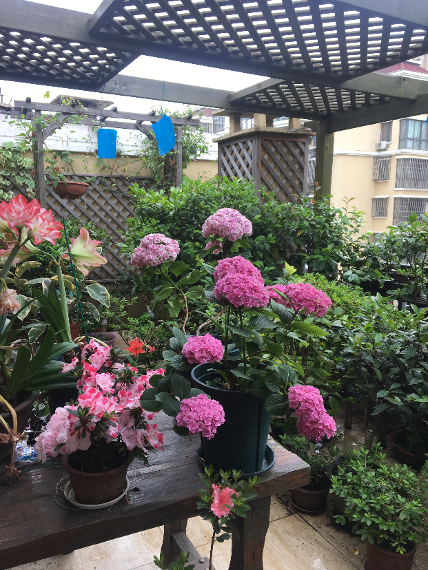 75228CE1-407D-4AAD-95A9-7FD09D1187F3.jpeg