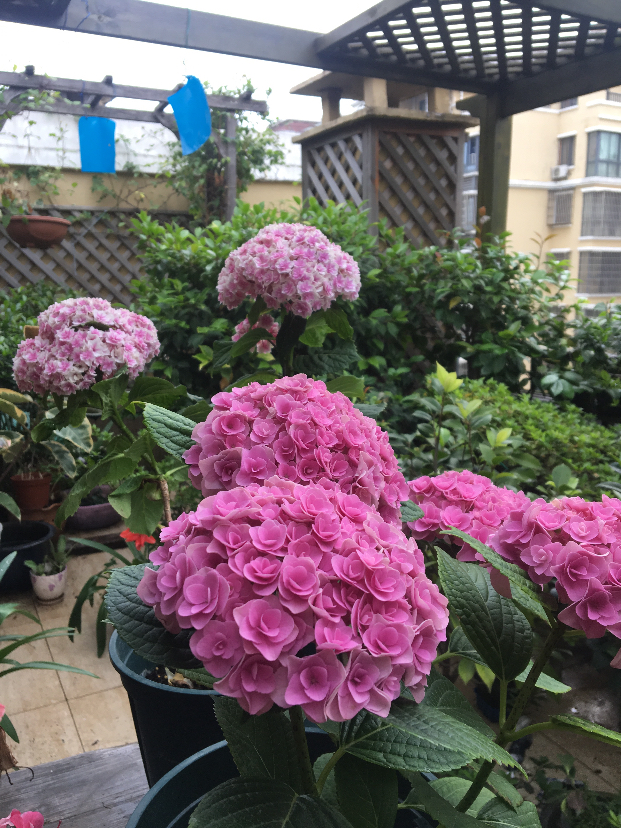 5574BAA7-68DE-45CE-9C02-7318A56AE724.jpeg
