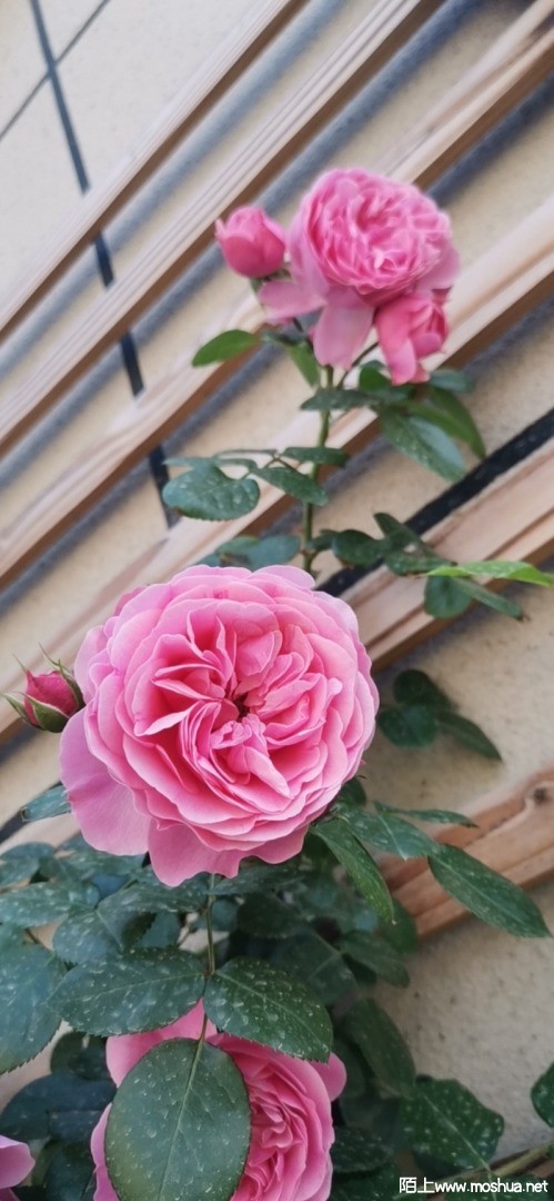 ΢��ͼƬ_202105171352157.jpg