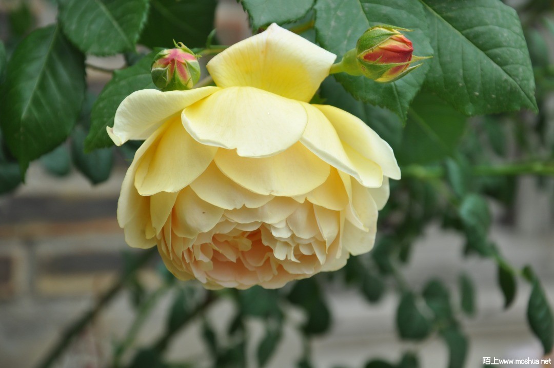 DSC_0328.JPG
