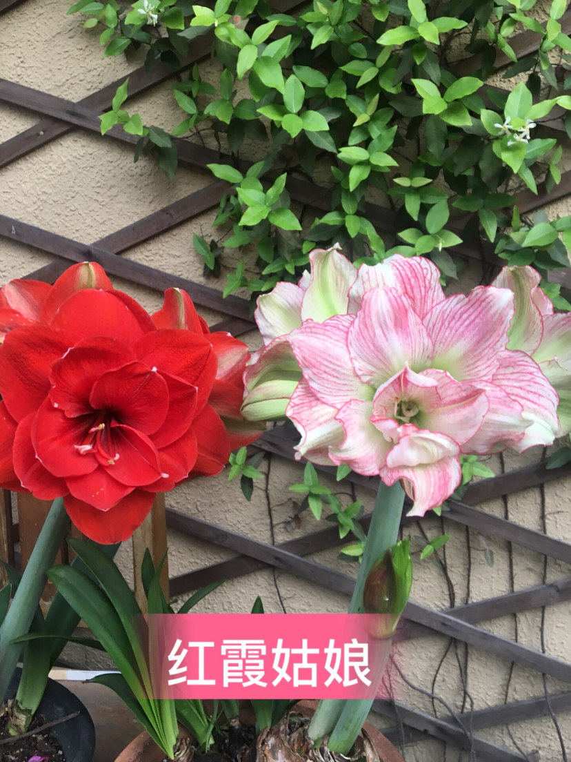 1849D898-F9D4-4194-B635-7D06CE5C58D7.jpeg