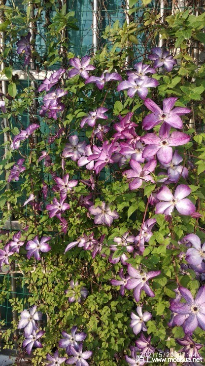 ΢��ͼƬ_20210520212731.jpg