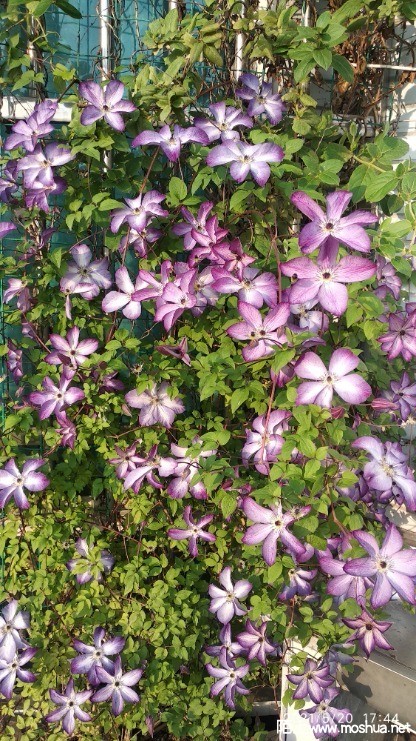 ΢��ͼƬ_20210520212745.jpg