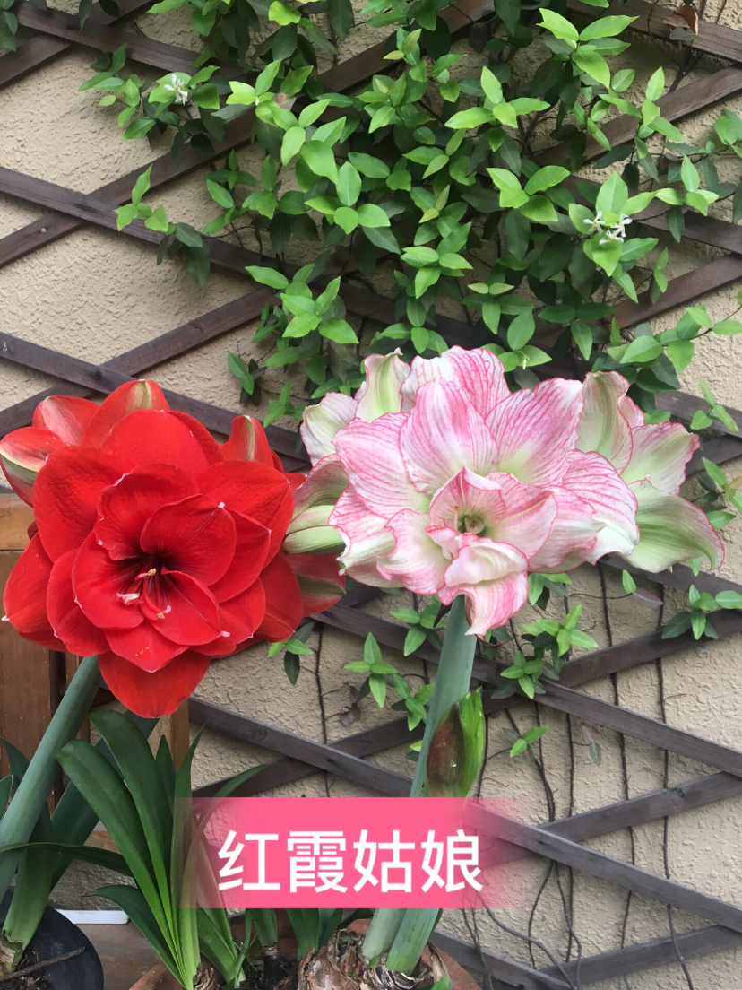 CB645E68-E4D3-49DF-BE54-8BD46B50A81E.jpeg