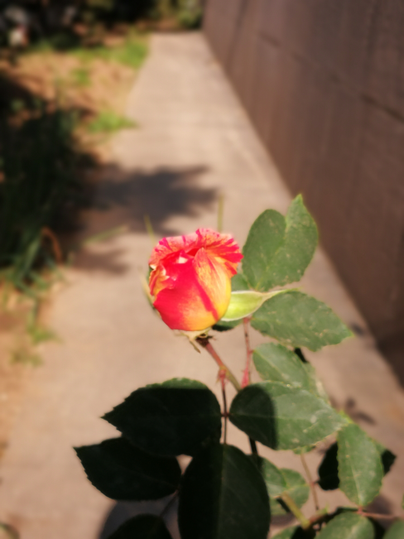 IMG_20210527_071448.jpg