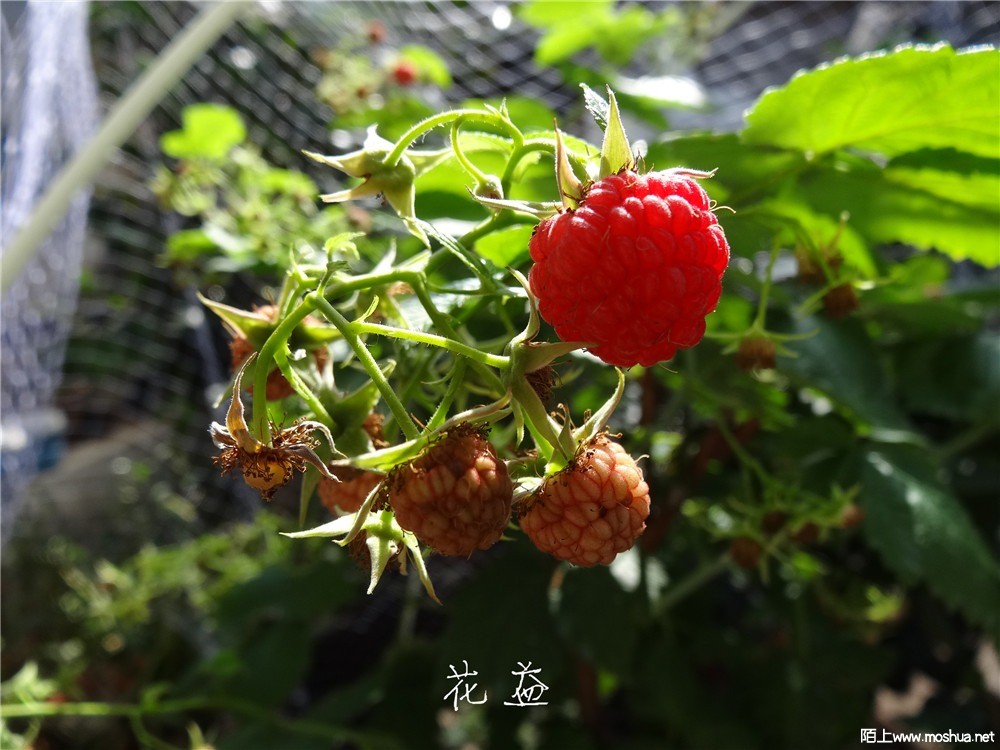 DSC05177.jpg