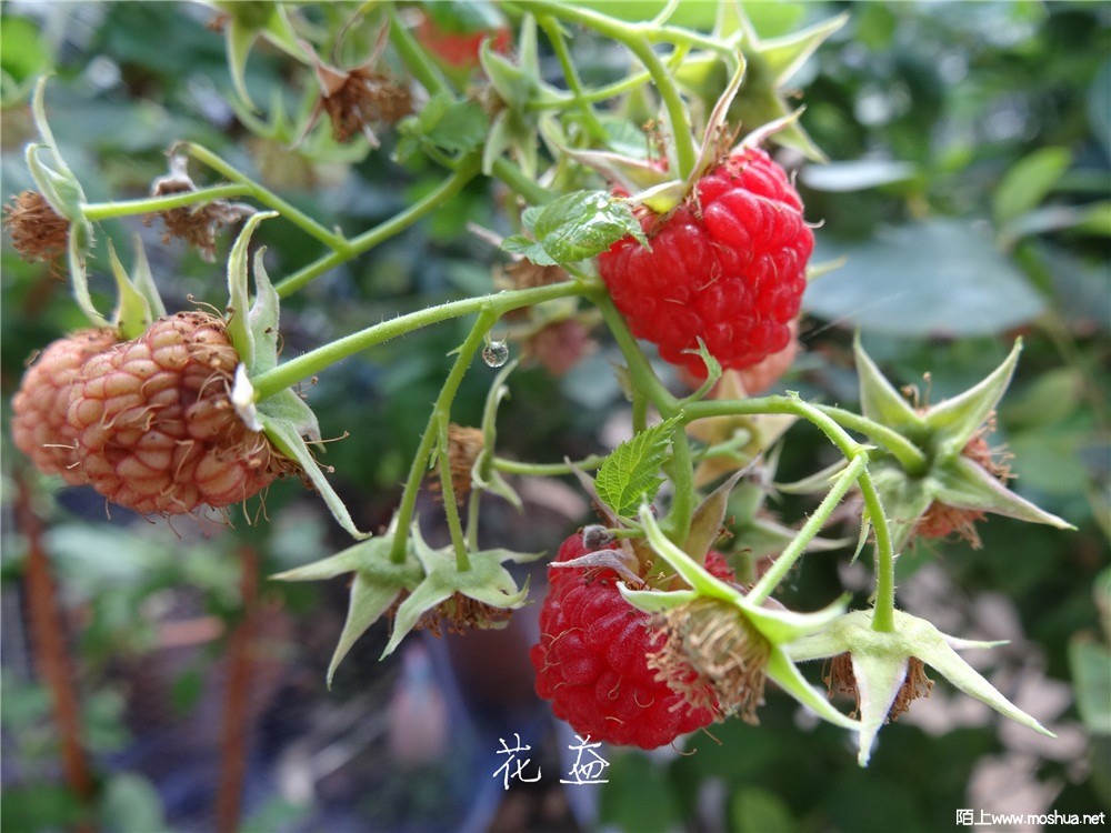 DSC05179.jpg