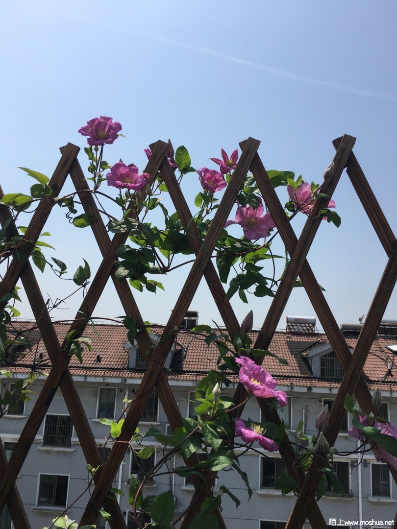 ΢��ͼƬ_20210604135256.jpg