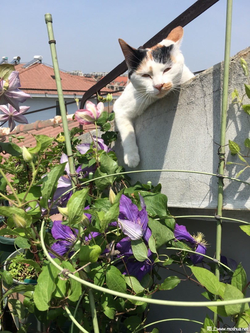 ΢��ͼƬ_20210604135314.jpg