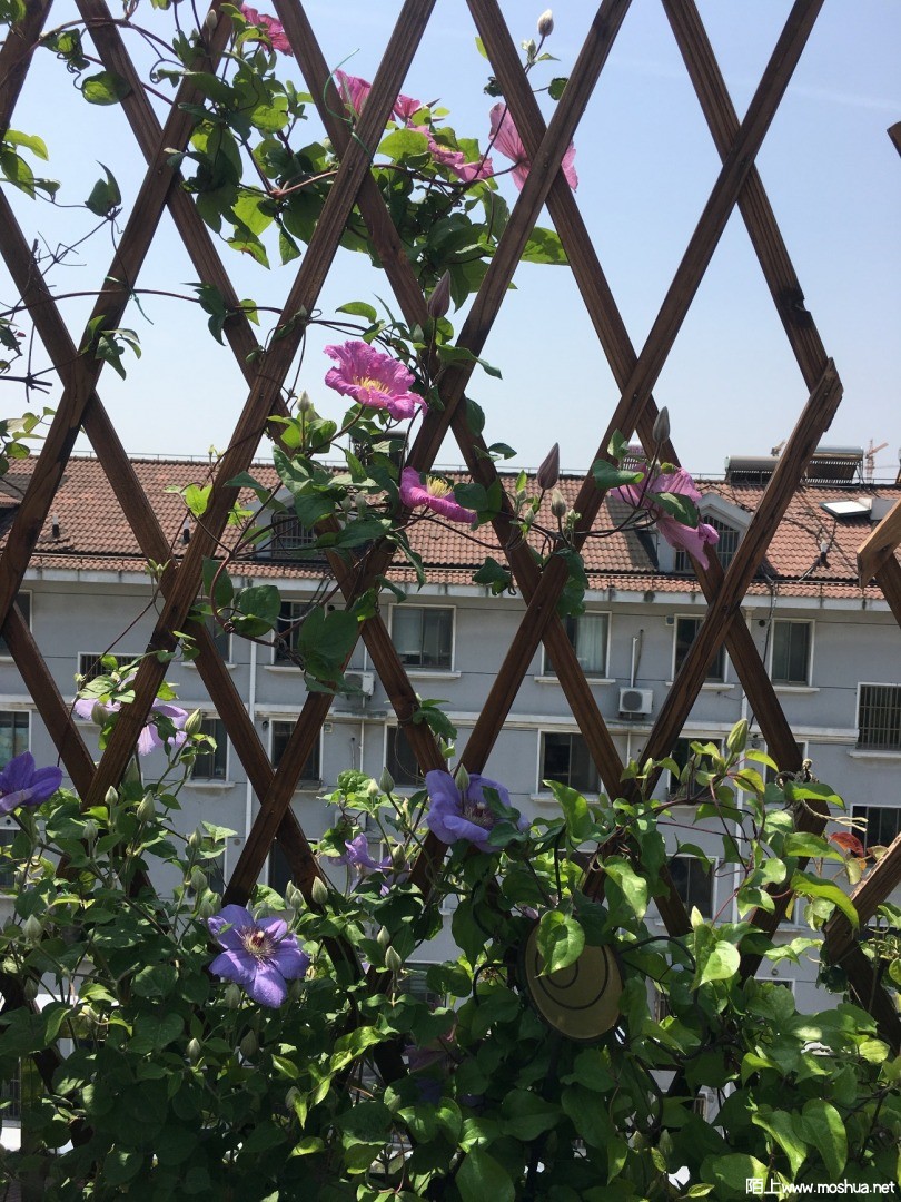 ΢��ͼƬ_20210604135320.jpg