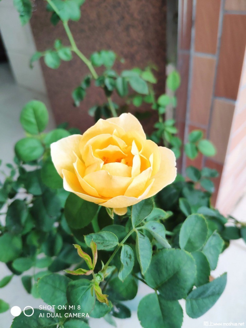 QQͼƬ20210612095608.jpg