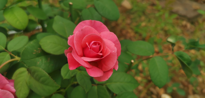 IMG_20210614_122809.jpg