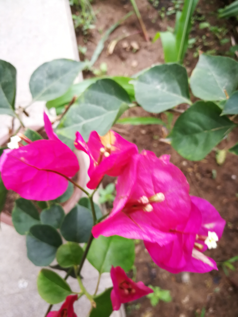 IMG_20210628_102258.jpg