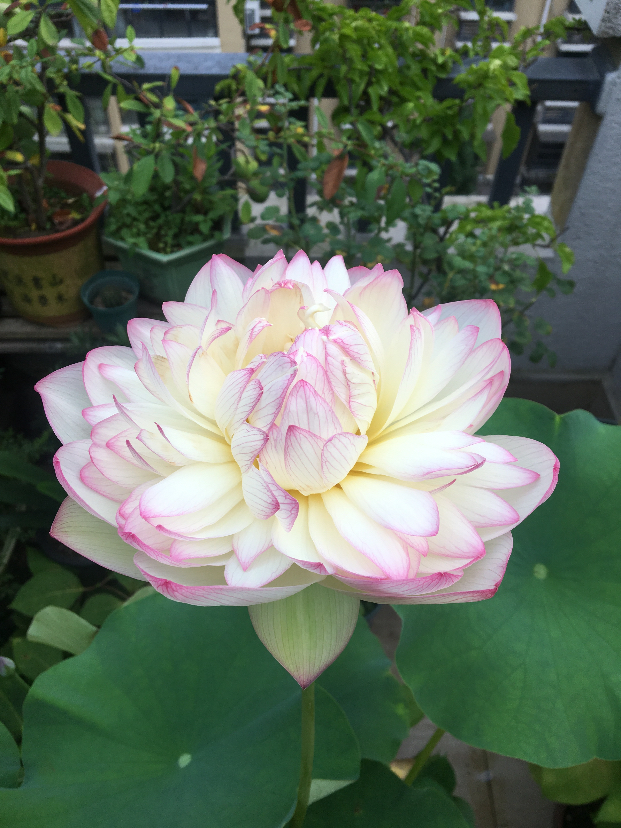 5396E7BB-709B-4924-86DF-452B38C1A200.jpeg