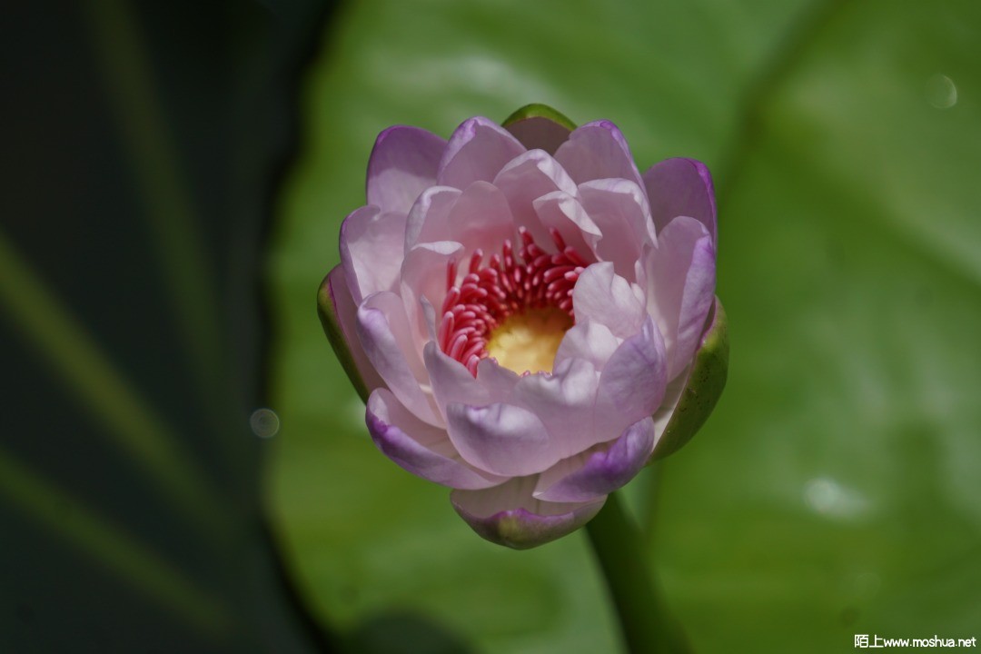 DSC02888.JPG