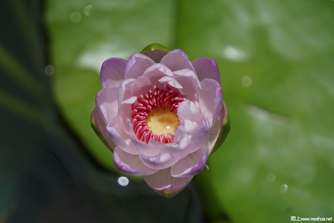 DSC02893.JPG