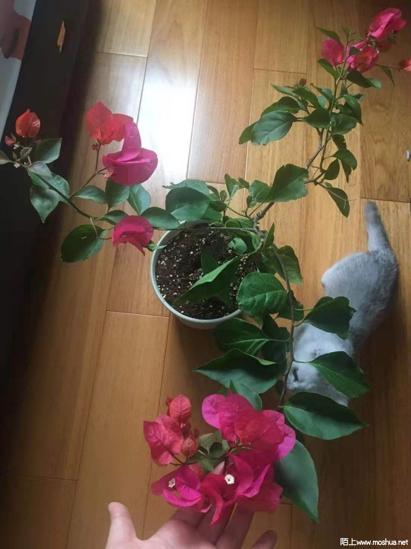 ΢��ͼƬ_20210705105414.jpg