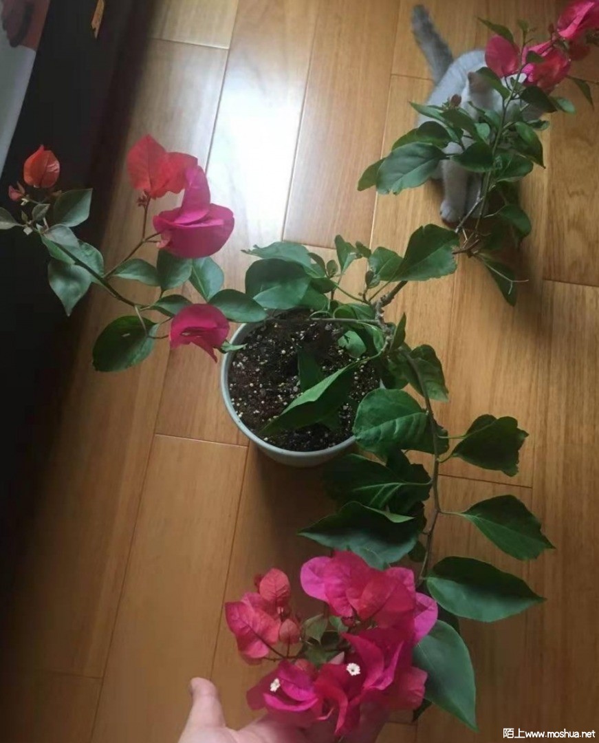 ΢��ͼƬ_20210705105427.jpg