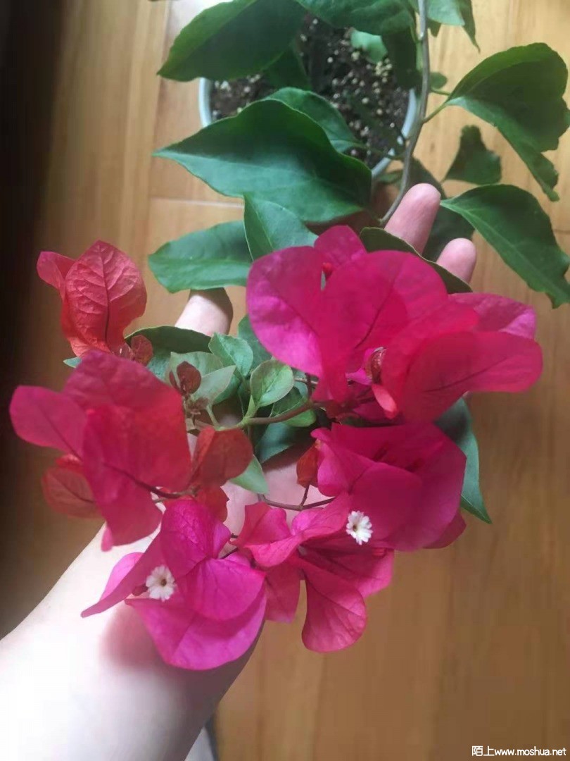 ΢��ͼƬ_20210705105432.jpg