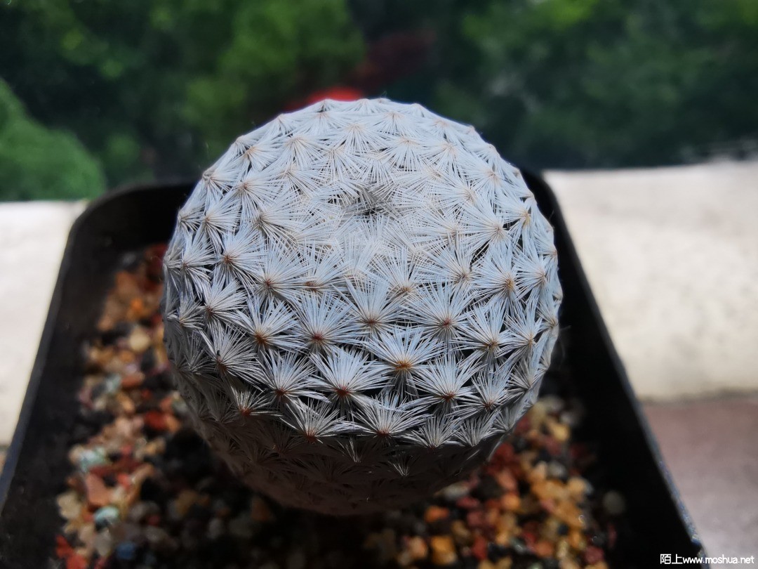 ΢��ͼƬ_20210718215028.jpg