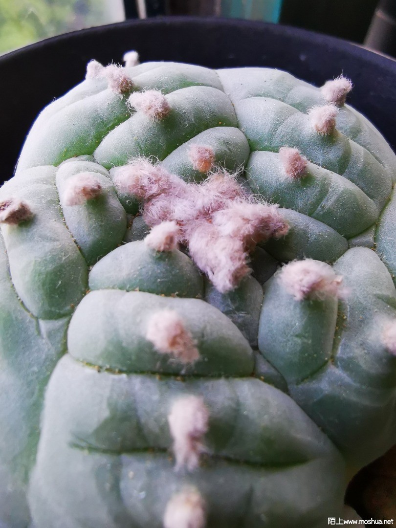 ΢��ͼƬ_20210718215047.jpg
