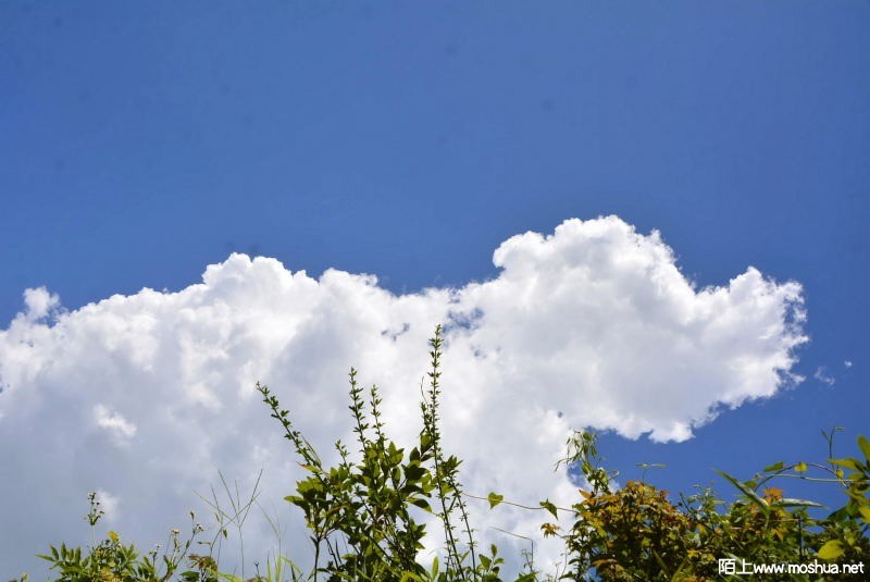_DSC06270141.JPG